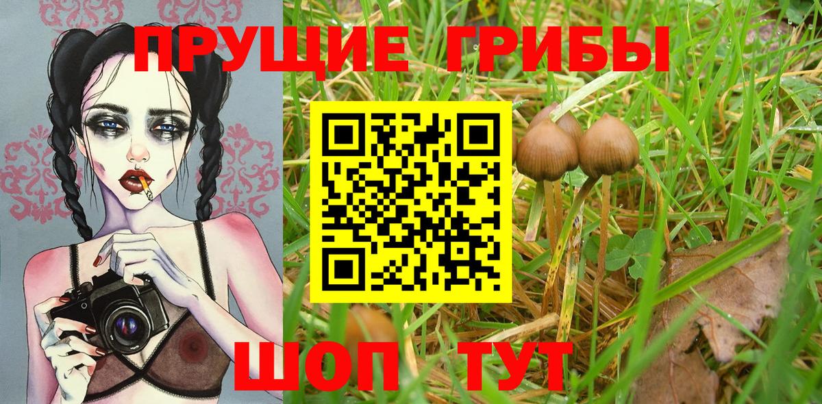 Псилоцибиновые грибы ЛСД Светлоград